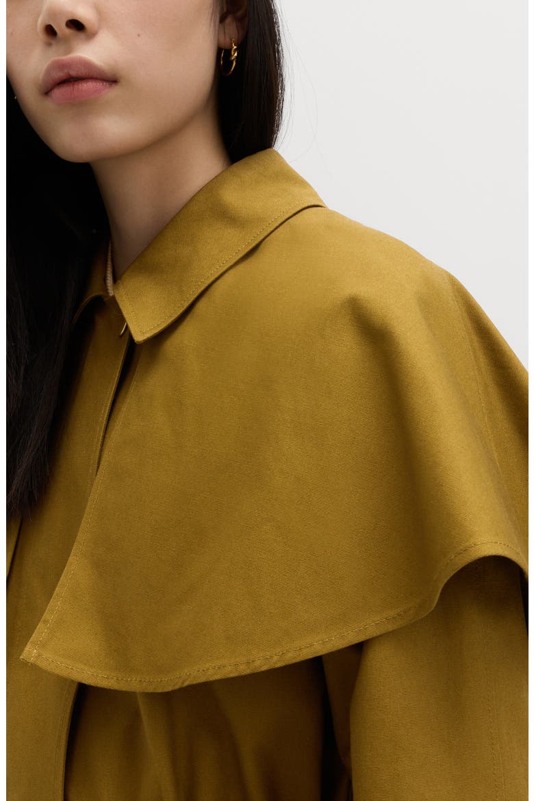 Waisted Collared Cape Coat, Alternate, color, BROWN