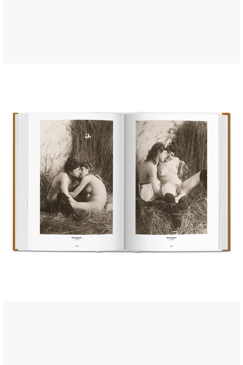 A History of Photography 1839-1939 Book, Alternate, color, Golden Brown
