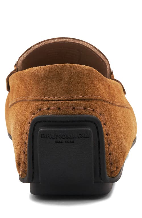 Bruno Magli Taso Bit Driving Loafer In Cognac Suede