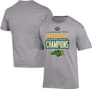Champion Men's Champion Gray NDSU Bison 2024 NCAA FCS Football National Champions Locker Room T-Shirt