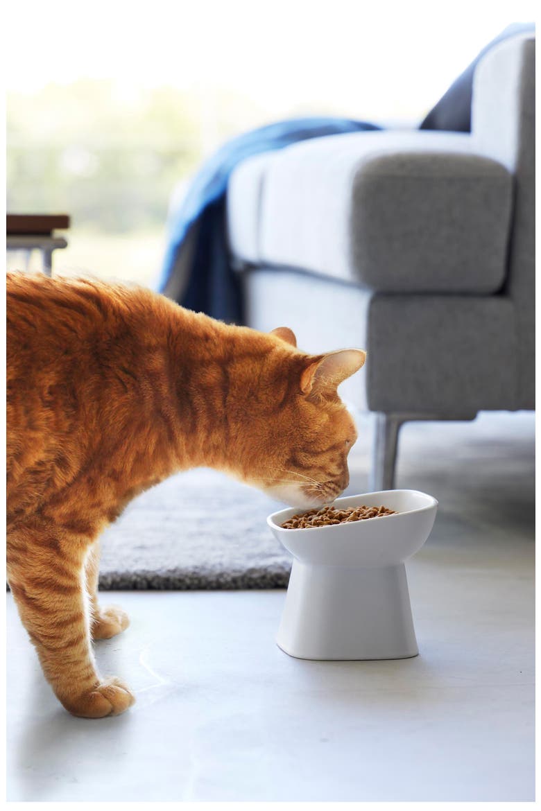 Tilted Pet Food Bowl, Alternate, color, WHITE