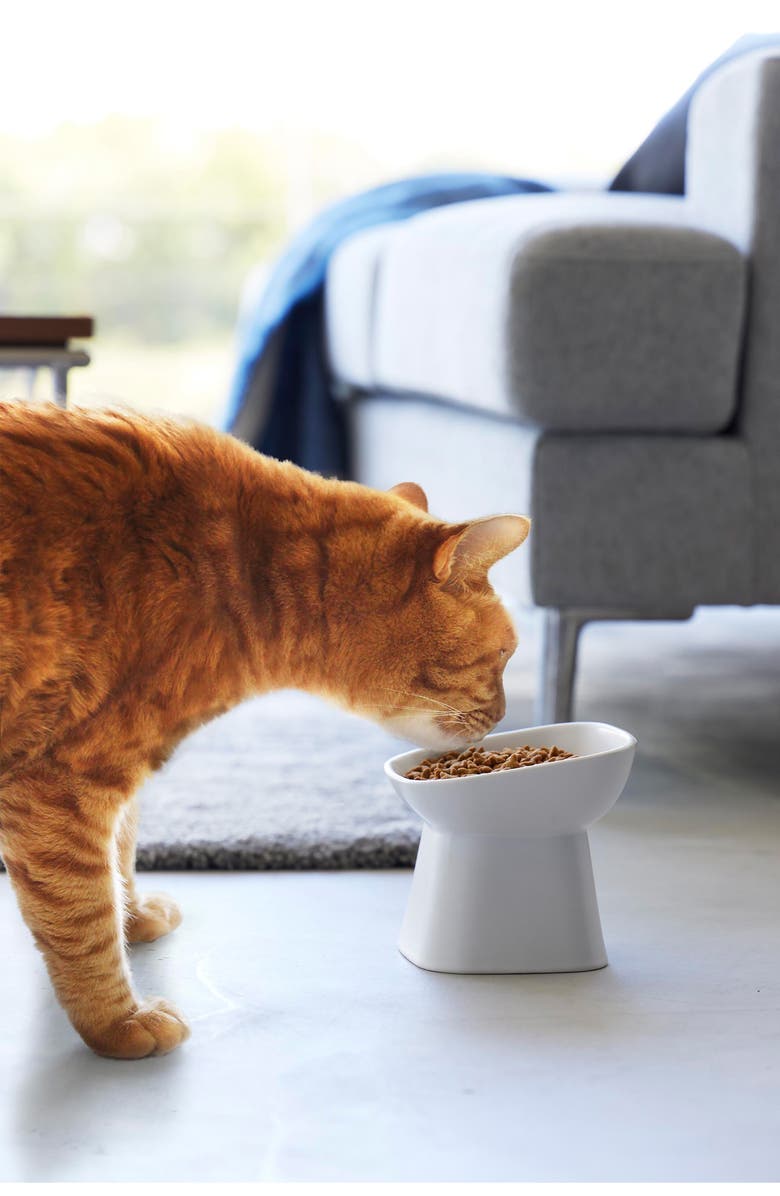 Yamazaki Tilted Pet Food Bowl, Alternate, color, White