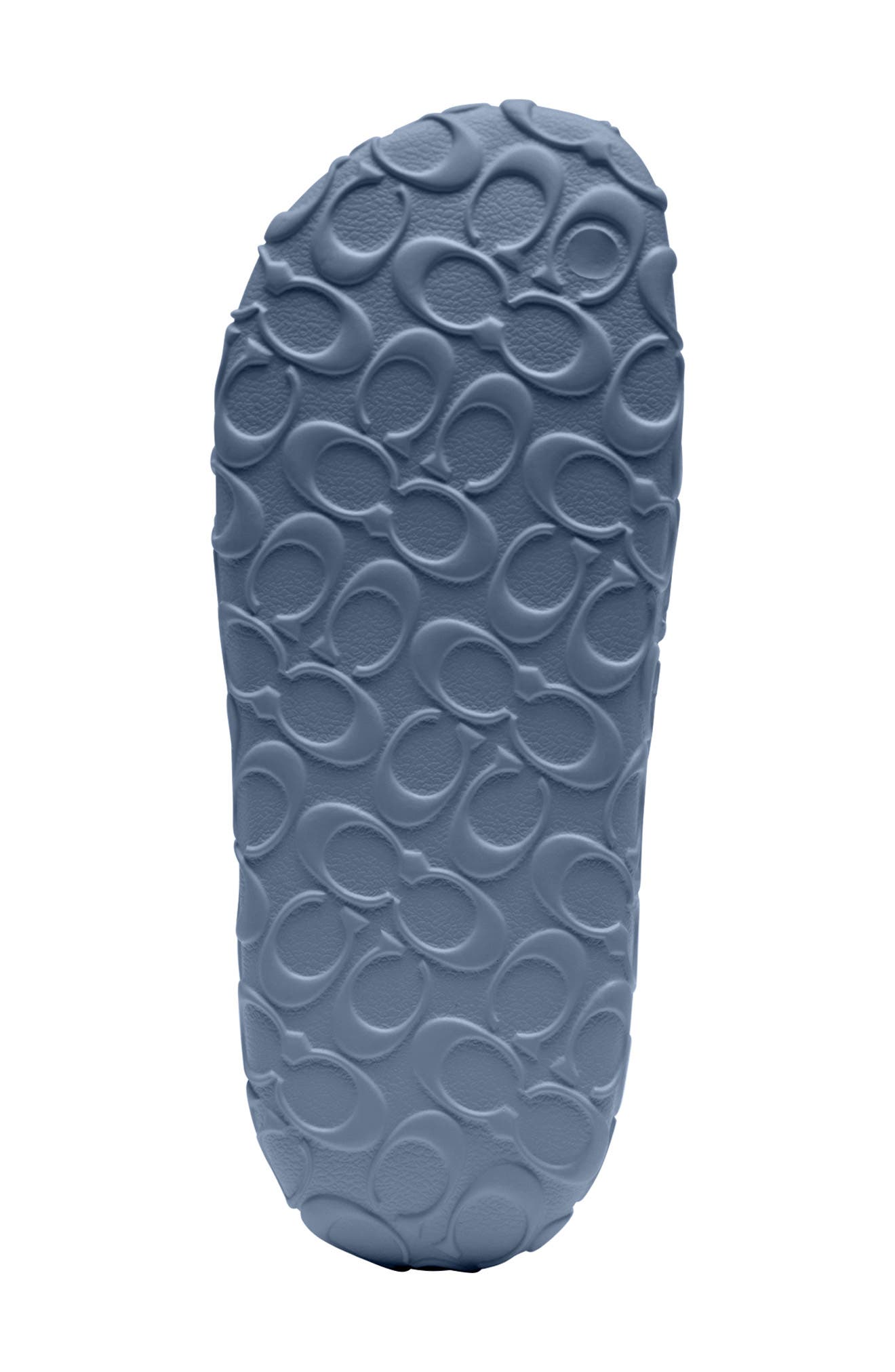 COACH Bay Slide Sandal, Alternate, color, Light Denim