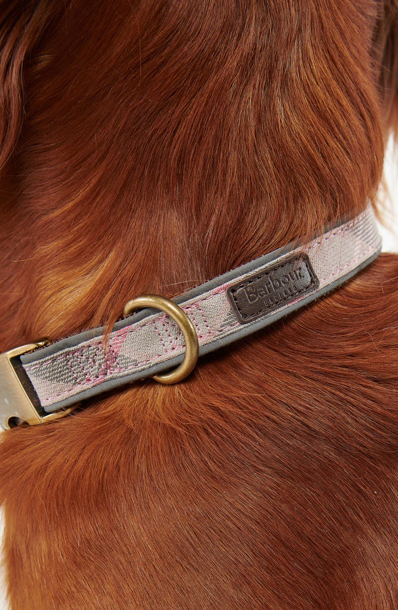 Barbour Reflective Tartan Dog Collar, Alternate, color, 