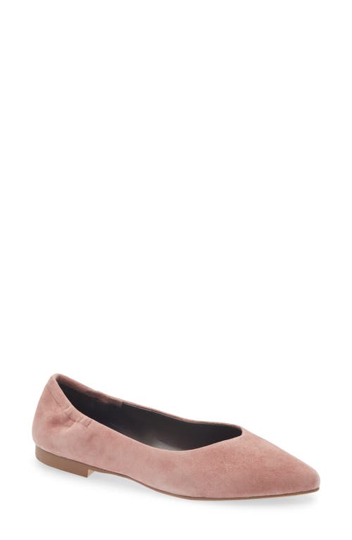 Cordani Mavis Pointed Toe Flat In Pink