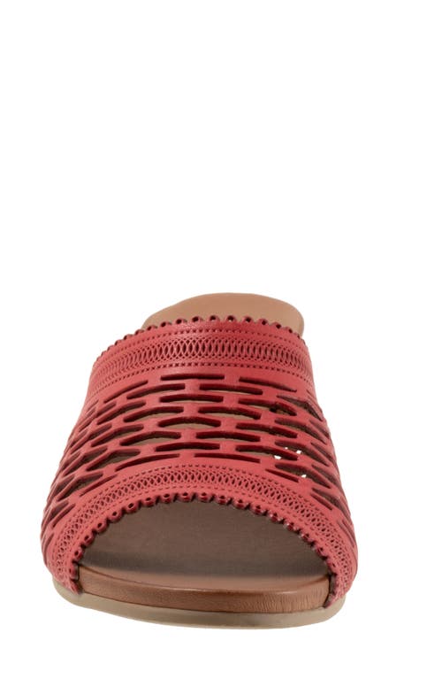 Bueno Lillian Block Heel Sandal In Red