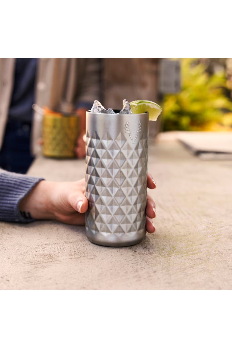 Paragon Stainless Steel Highball Tumbler, Alternate, color, Platinum