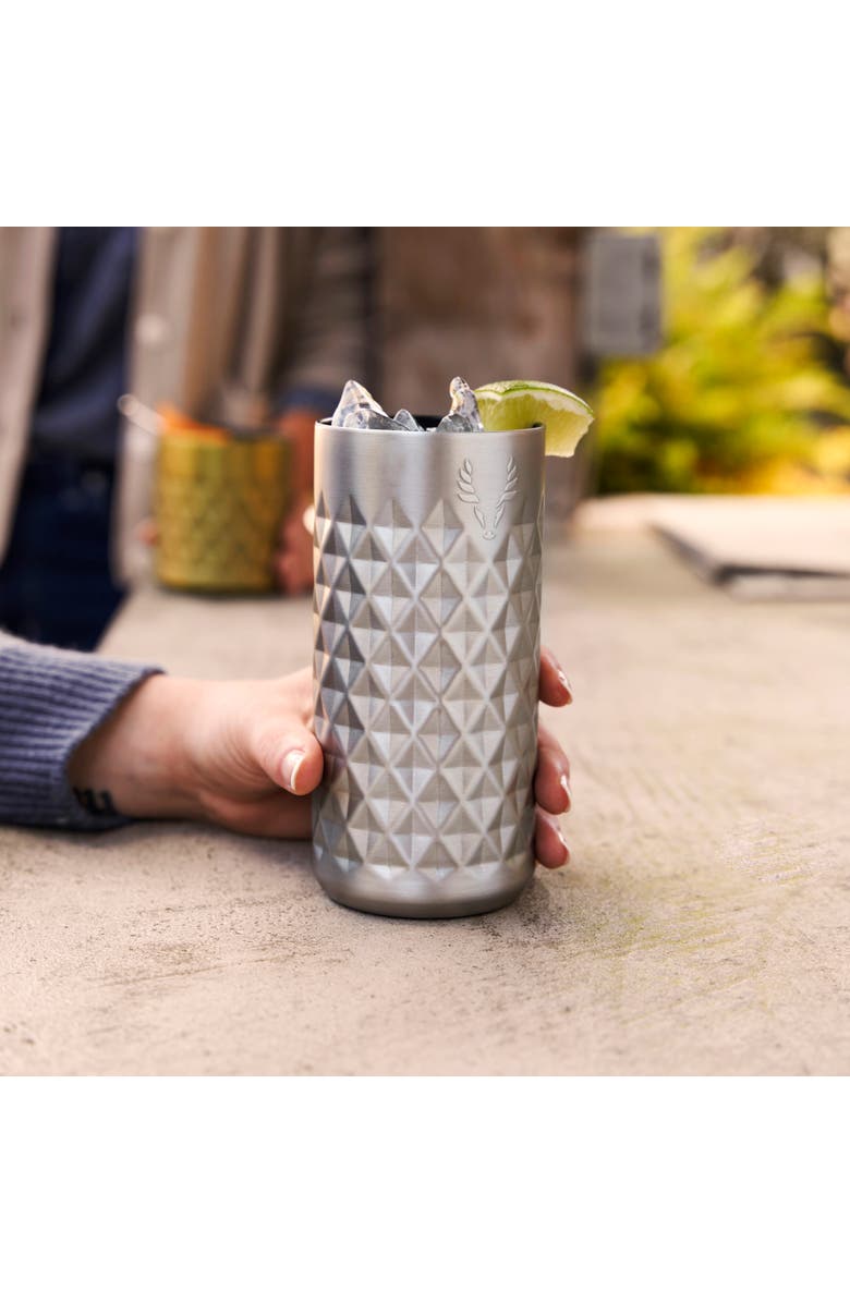 Viski Paragon Stainless Steel Highball Tumbler, Alternate, color, Platinum