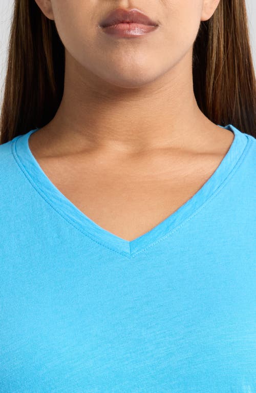 Eileen Fisher Easy V-neck Organic Cotton T-shirt In Azure