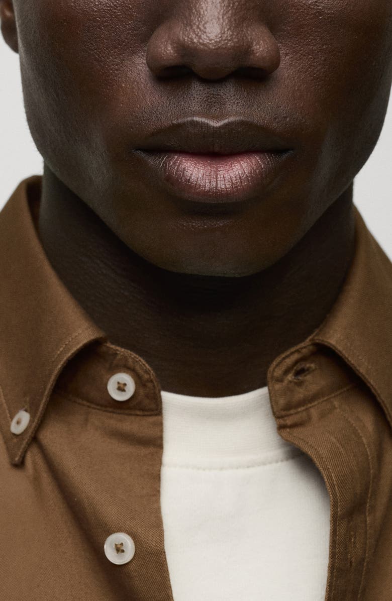 MANGO Cotton Oxford Button-Down Shirt, Alternate, color, Brown