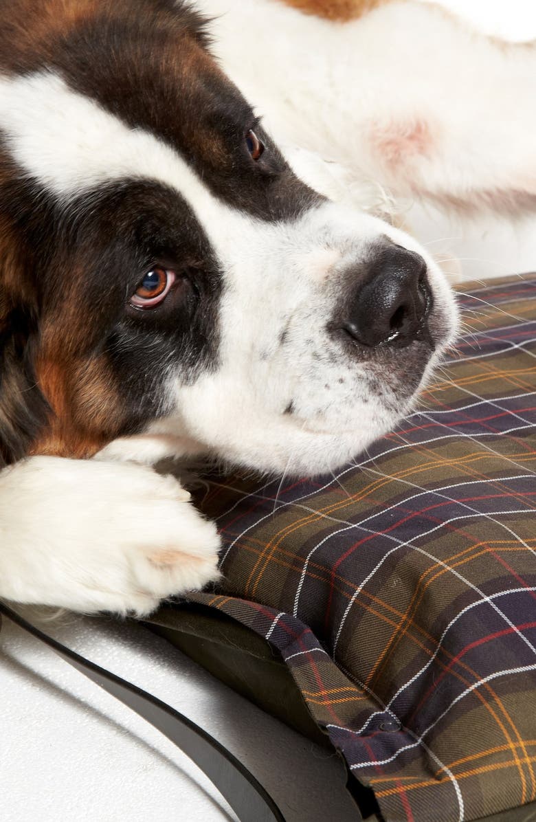 Filson Leather Dog Leash, Alternate, color, 