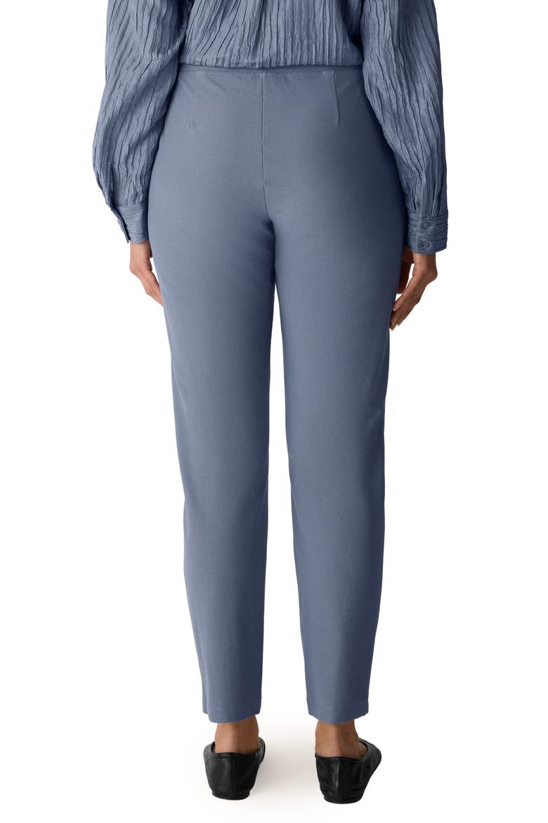 Slim Ankle Pants, Alternate, color, FLINT