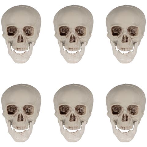 Shruken Skeleton Skulls Halloween Decorations - 4.5" - Set of 6