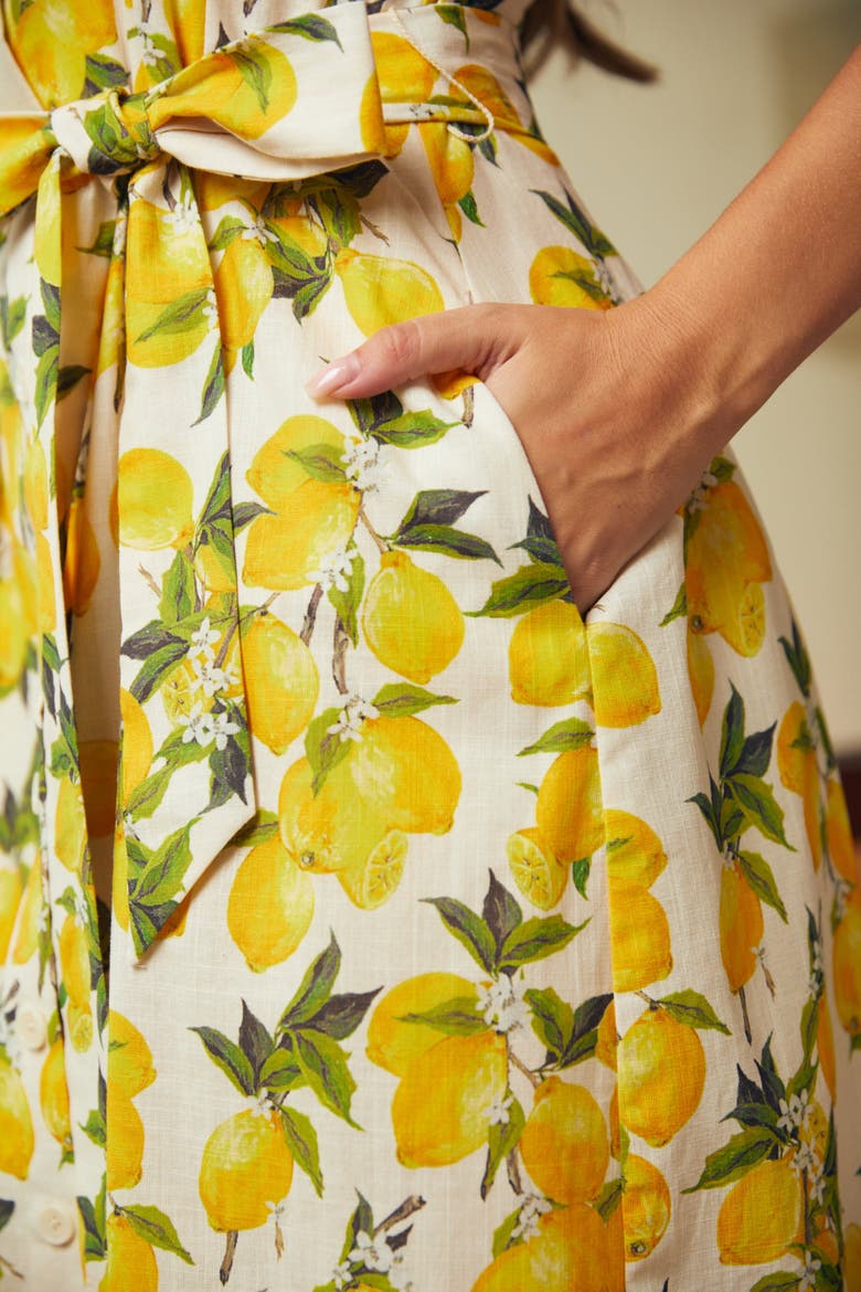 Can't Slow My Roll Shirt Dress with Pockets, Alternate, color, Lemon Spritz