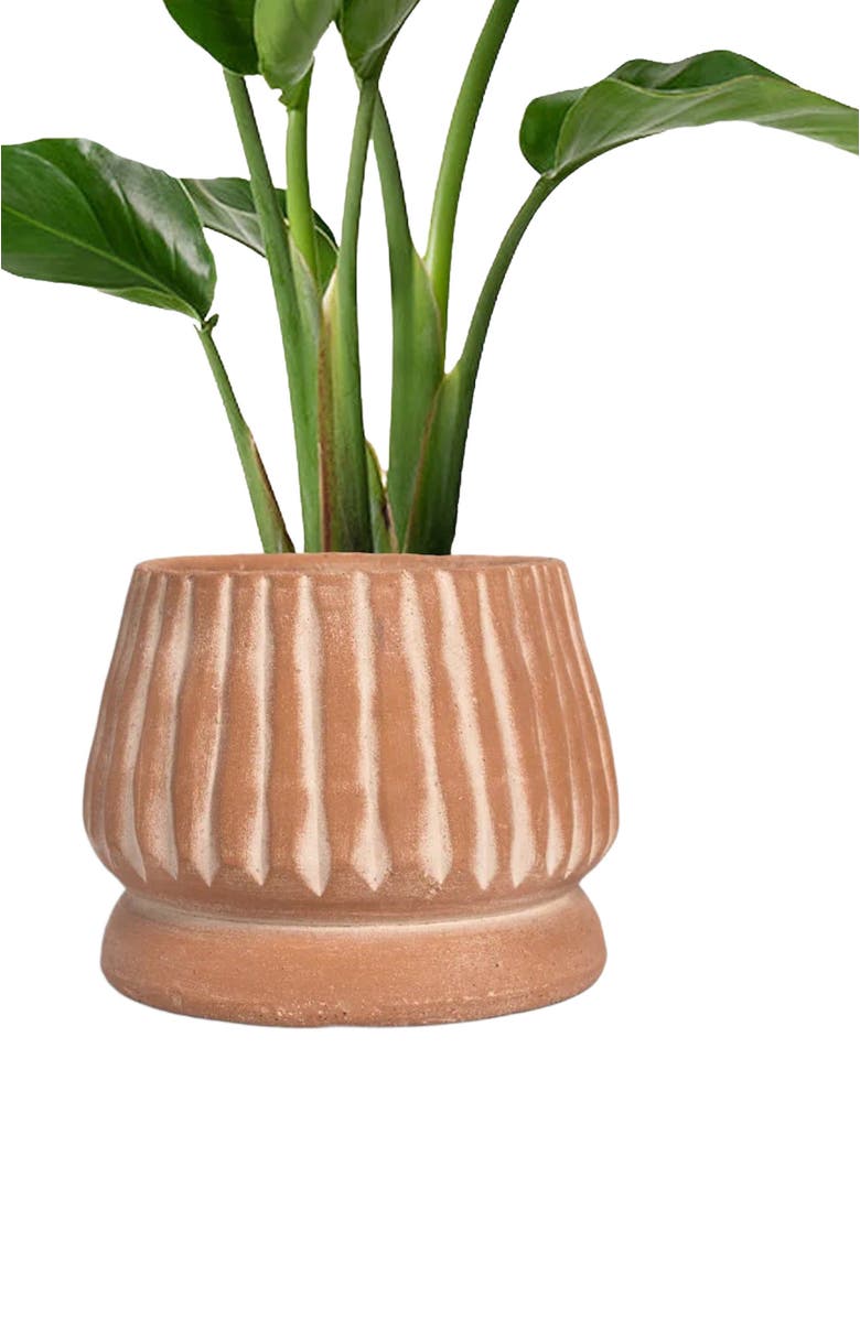 Meso Goods Mateo Planter, Alternate, color, Natural