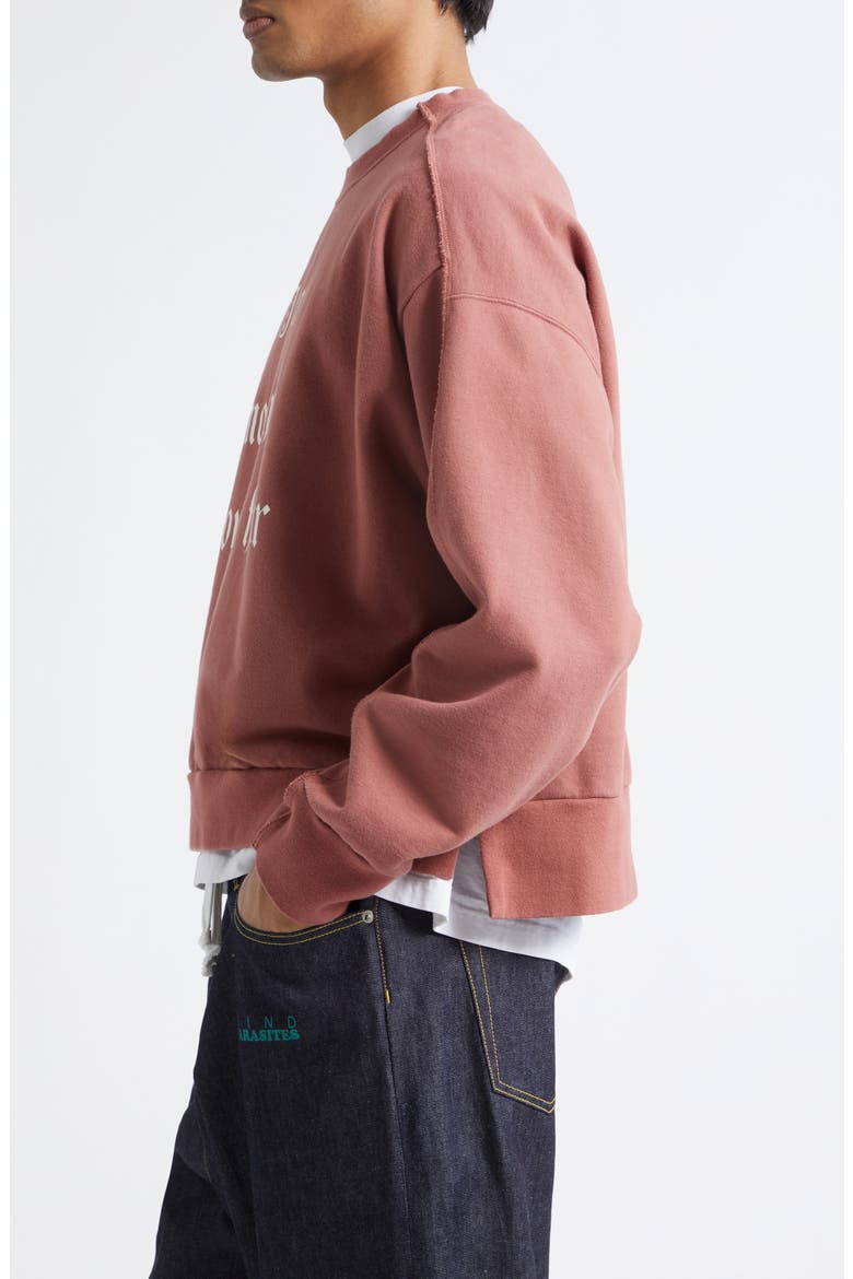 Graphic Cotton Sweatshirt, Alternate, color, PINK BROWN