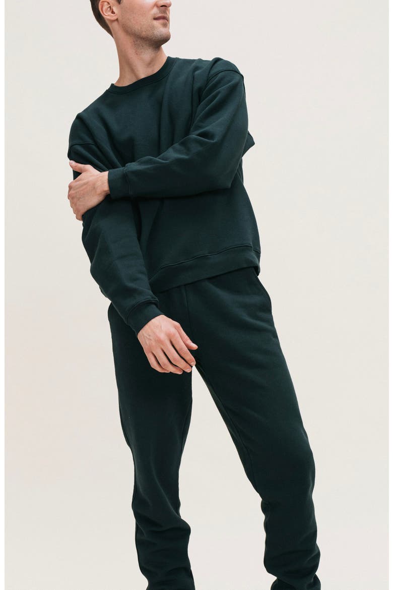 Men's Organic Cotton Teddy Everywhere Jogger, Alternate, color, Grove