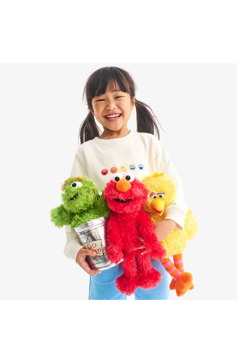 Primary Kids Sesame Street Friends Embroidered Sweatshirt, Alternate, color, Oat