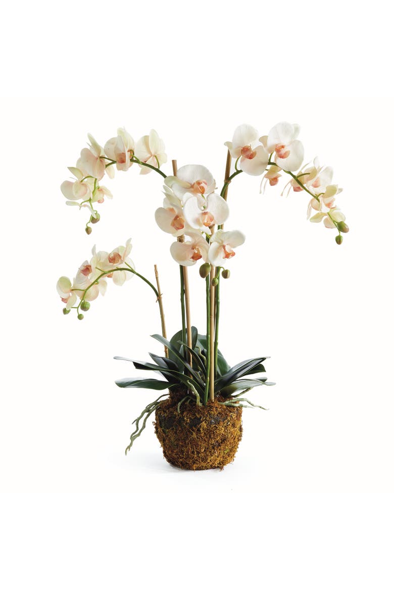 Phalaenopsis Orchid Artificial Plant Drop-In, Main, color, Pink
