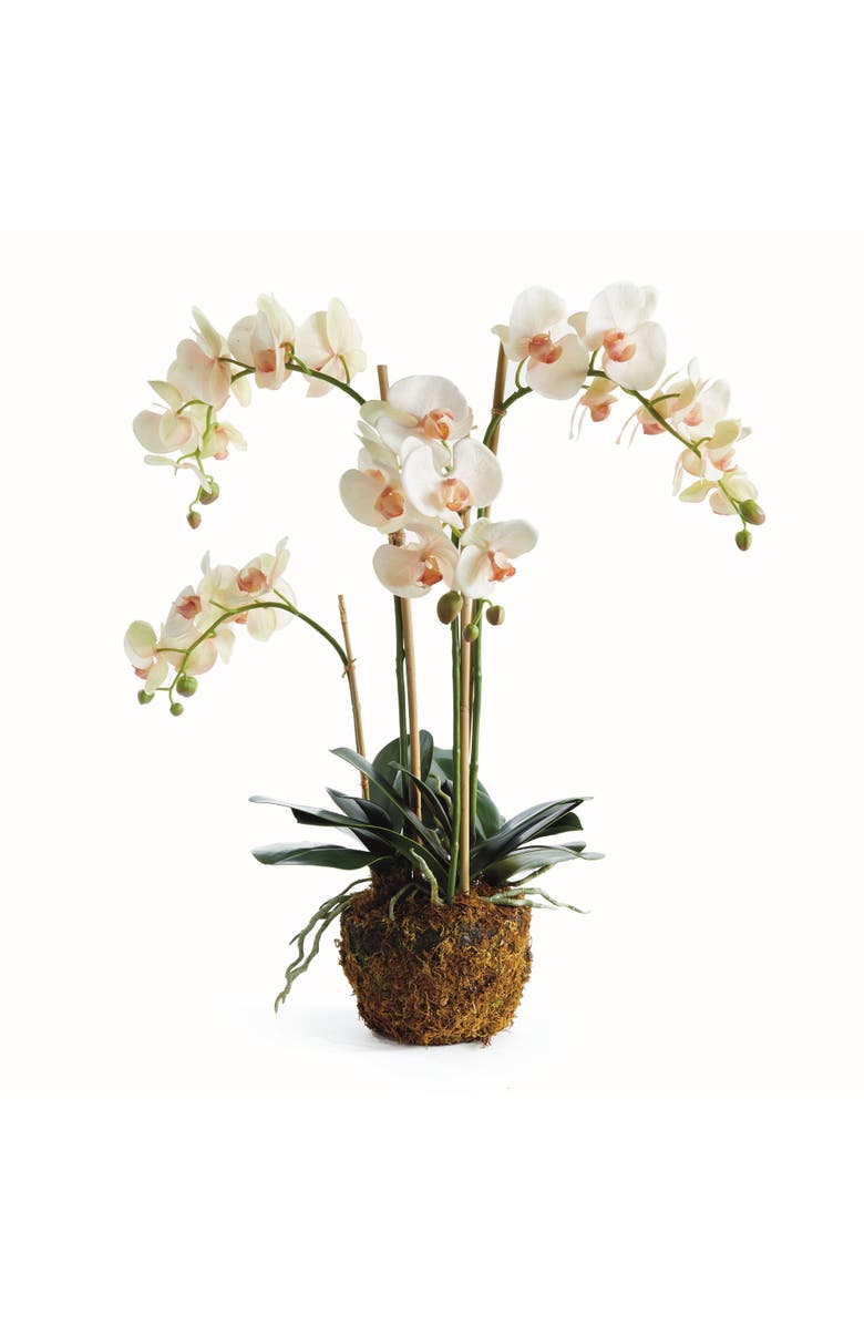 Napa Home & Garden Phalaenopsis Orchid Artificial Plant Drop-In, Main, color, Pink