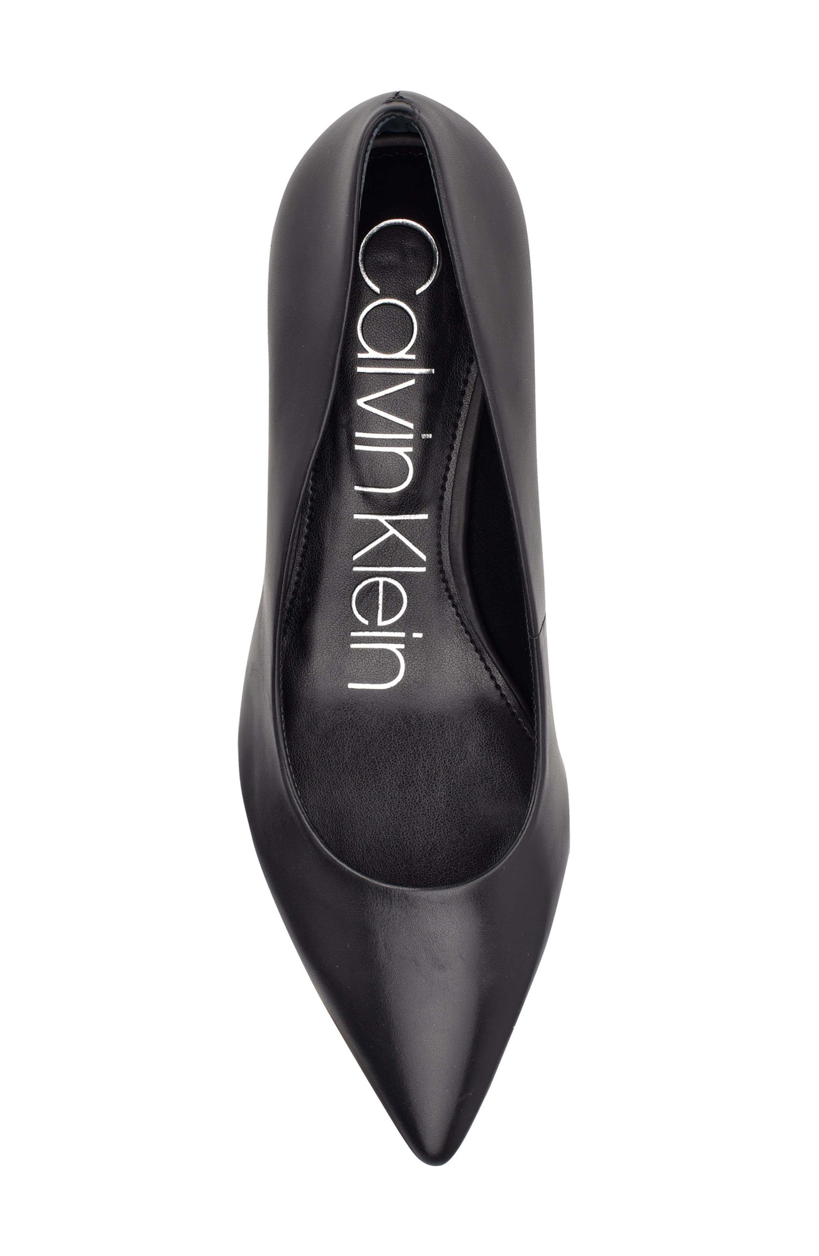 Calvin Klein Danica Pointed Toe Pump, Alternate, color, 