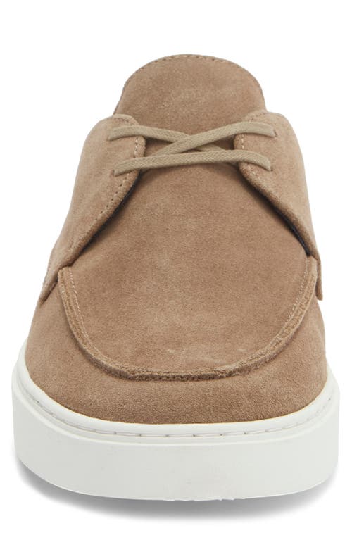 Steve Madden Frankk Chukka Shoe