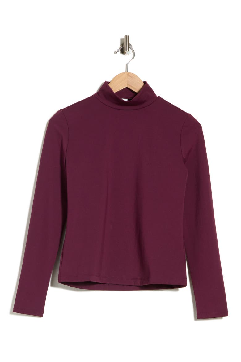 Turtleneck Top with Back Seam Detail, Alternate, color, BLACK BERRY