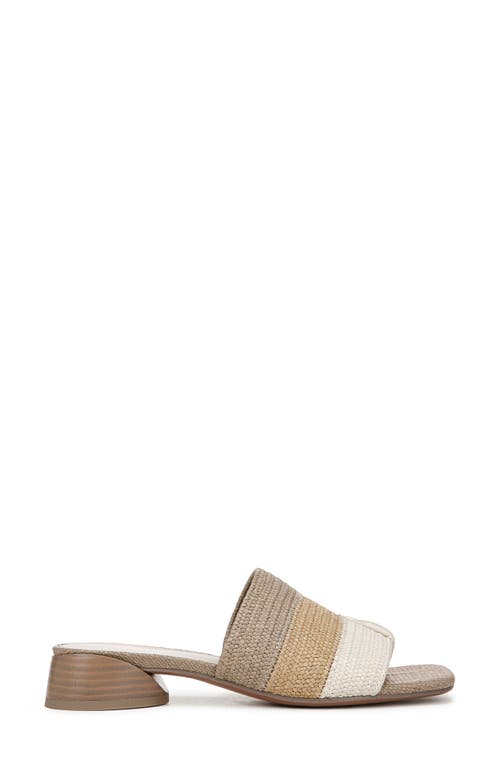 Franco Sarto Loran Sandal In Brown