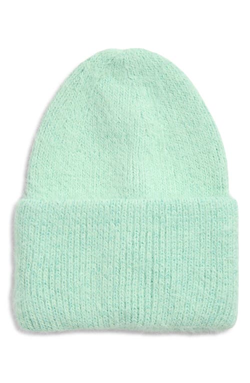 Tasha Cuffed Knit Beanie In Green