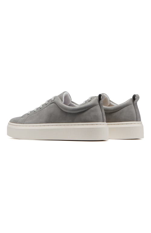 Abeo Jumpstreet Bungee Sneaker In Stone Leather - Regular