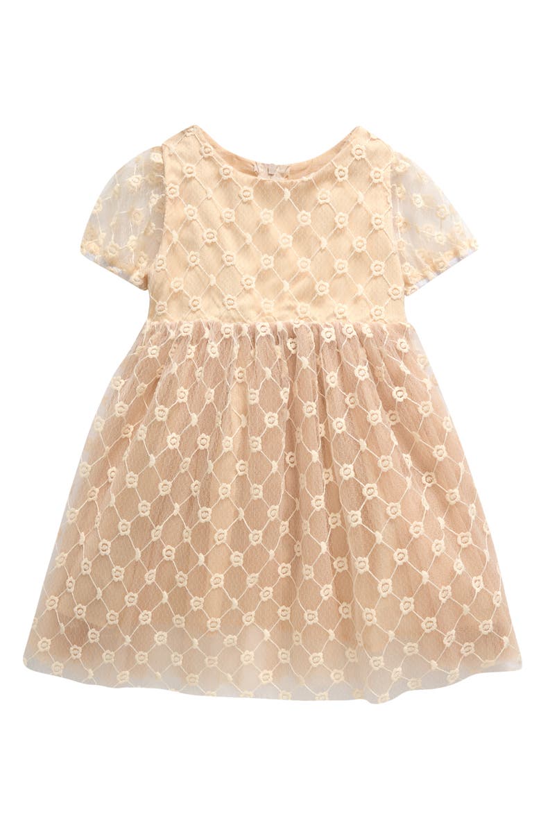 Popatu Kids' Embroidered Tulle Dress, Main, color, 