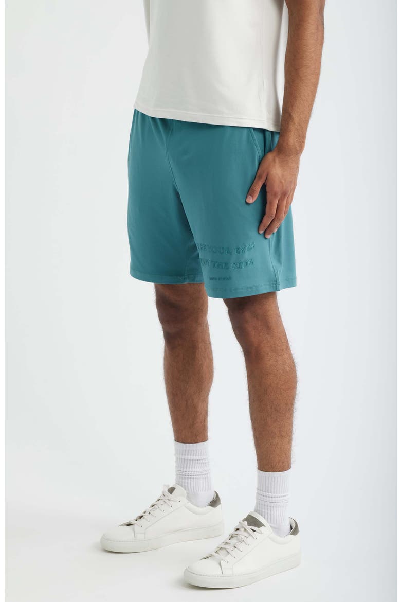 Tempo Enjoy Comfort Fleece Drawstring Shorts - Ryan Sheckler Edition, Alternate, color, BLUE