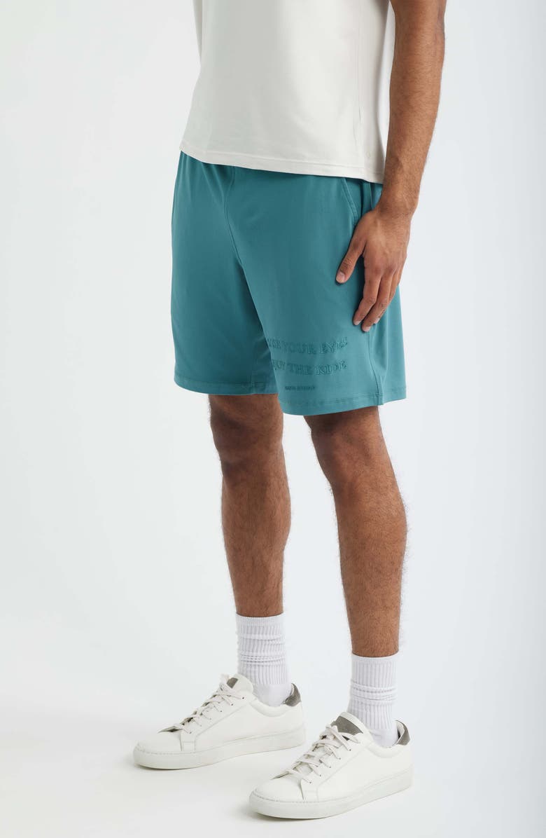 SANTO STUDIO Tempo Enjoy Comfort Fleece Drawstring Shorts - Ryan Sheckler Edition, Alternate, color, Blue