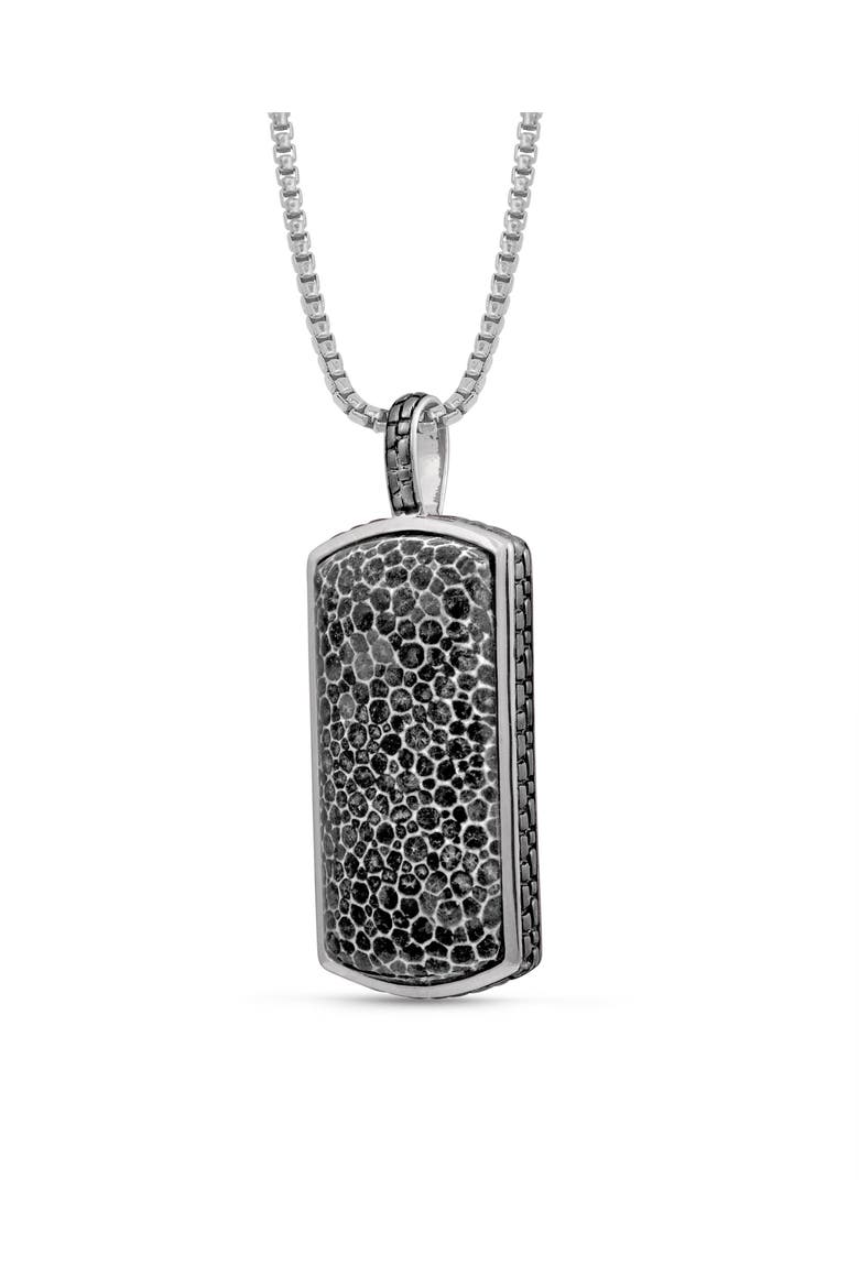 Fossil Agate Sterling Silver Men Tag Necklace, Alternate, color, Silver