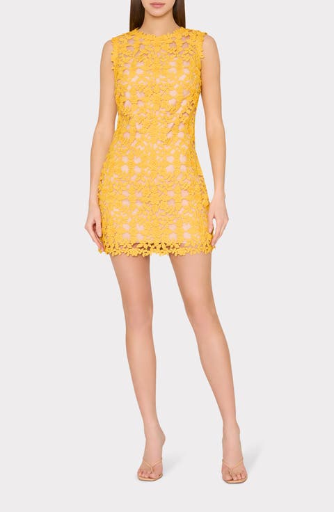 Livia Lace Minidress