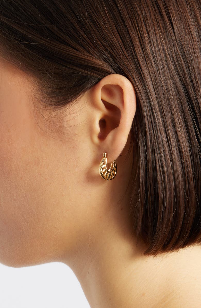 Child of Wild Louise Hoop Earrings, Alternate, color, Gold