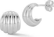 GLAZE JEWELRY Shell Rib Stud Earrings