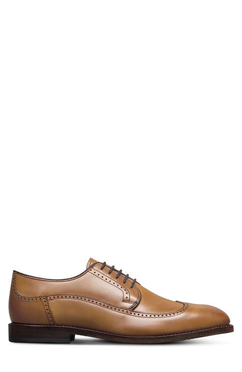 Allen Edmonds Winston Wingtip Derby In Brown