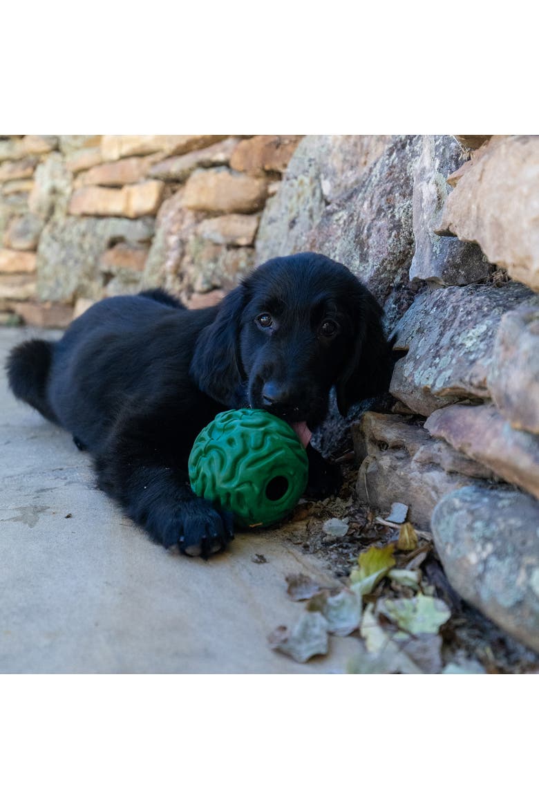 Luna Ball, 4 Inches, Large, Green, Dog & Puppy Toy, Alternate, color, Green