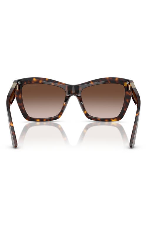 Jimmy Choo 54mm Cat Eye Sunglasses In Havana