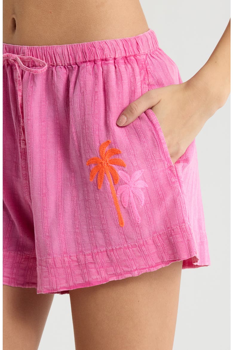 Hotel Malibu Embroidered Yarn Dyed Stripe Shorts, Alternate, color, SUPER PINK