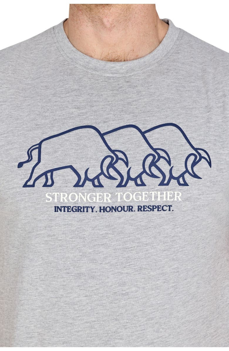 Raging Bull YFC Bull Herd High Build T-Shirt, Alternate, color, Light Grey Marl