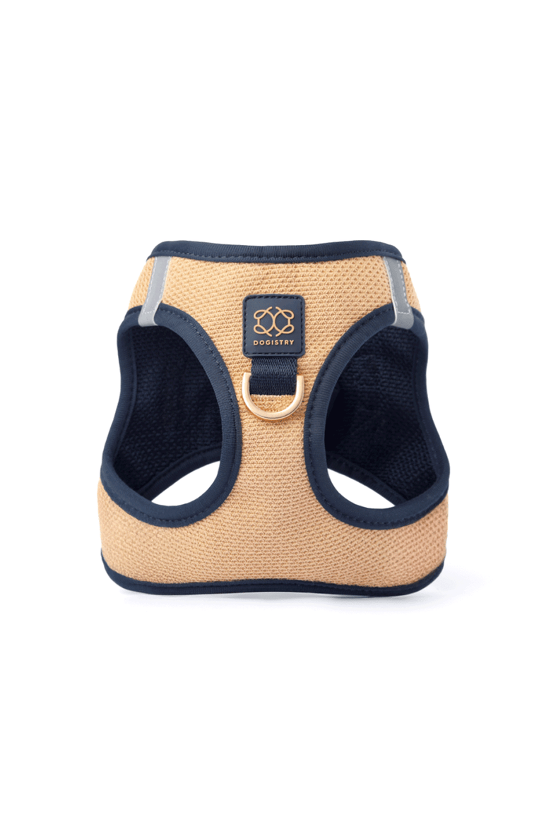 City Leash Set, Alternate, color, Hamptons