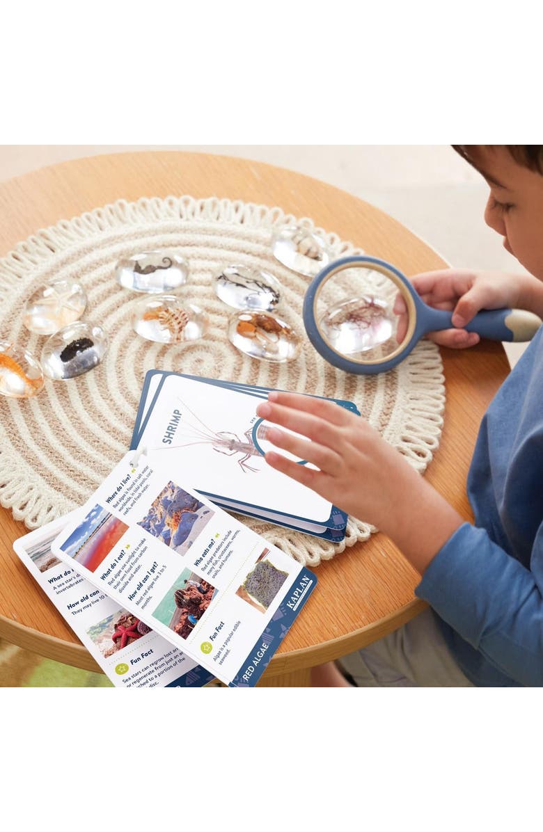Kaplan Early Learning Company Specimen Stones Sea Creatures - 9 Pieces, Alternate, color, Clear