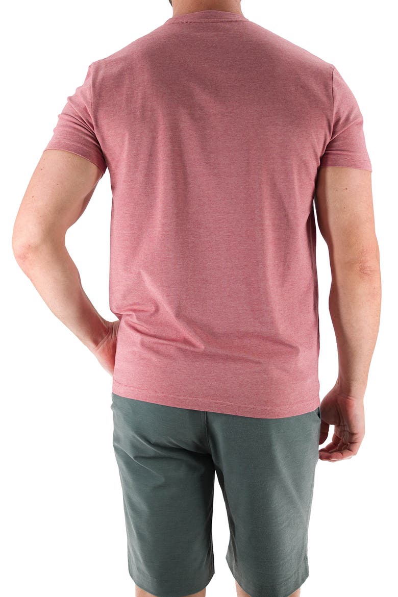 Feeder Stripe T-Shirt, Alternate, color, MELANGE WITHERED ROSE