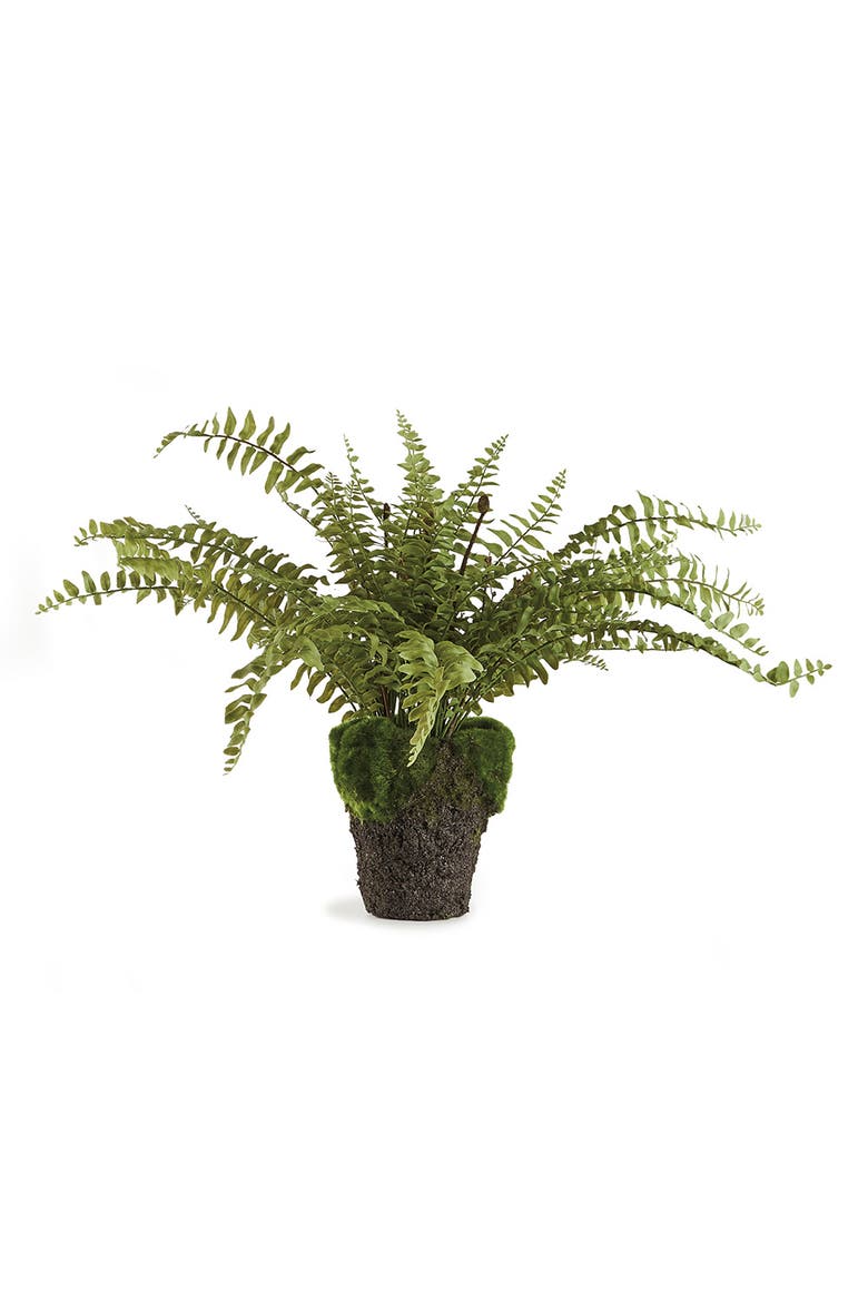 Boston Fern Drop-In 16", Main, color, Green