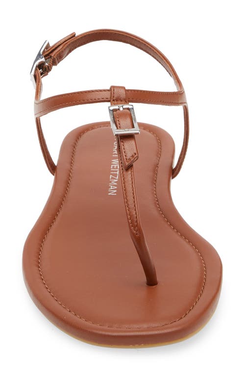 Stuart Weitzman Georgie T-strap Sandal In Bridle Brown