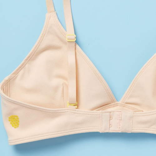 Yellowberry Lily Triangle Bra In Beige