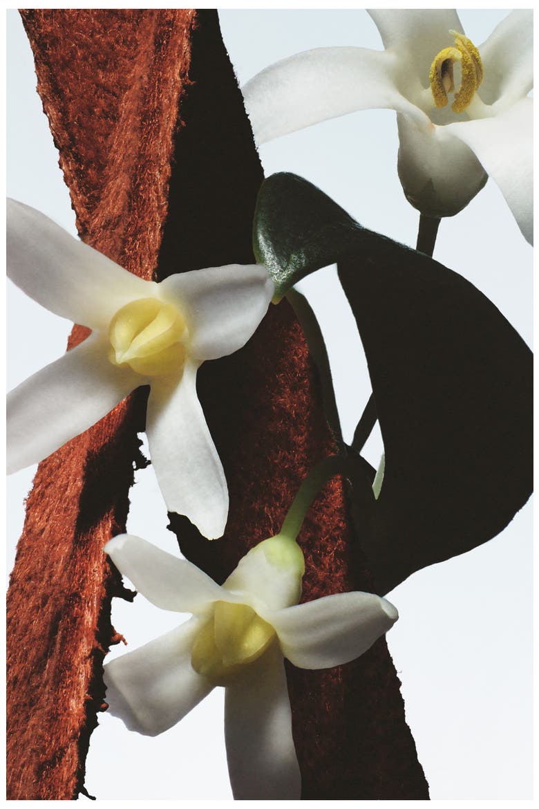 Fleur du Mal Refillable Eau de Parfum, Alternate, color, NO COLOR