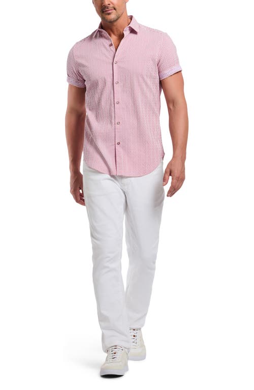 Shop Robert Graham Fornillo Classic Fit Stripe Short Sleeve Button-up Shirt